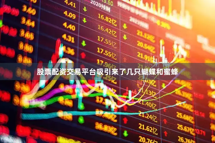 股票配资交易平台吸引来了几只蝴蝶和蜜蜂