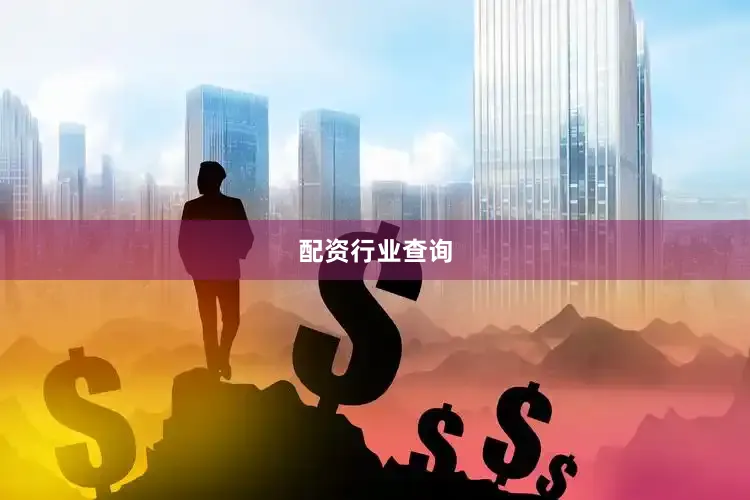 配资行业查询