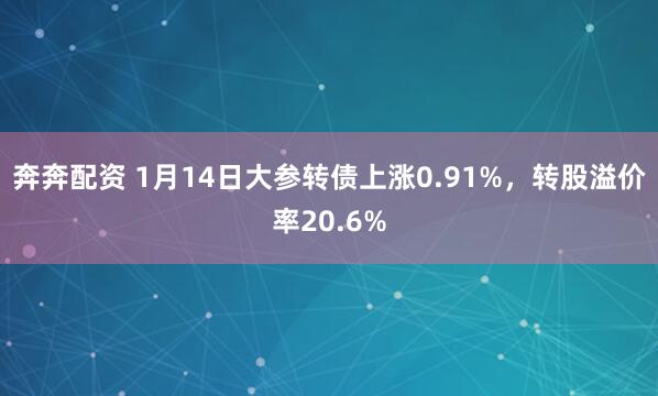 奔奔配资 1月14日大参转债上涨0.91%，转股溢价率20.6%